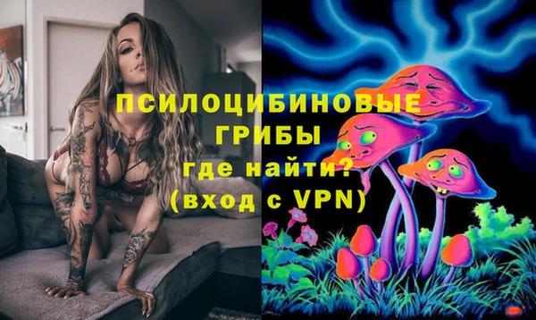 амф Алексеевка
