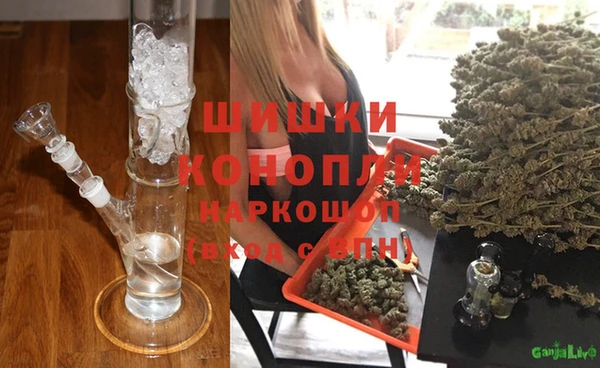 дурь Алексин
