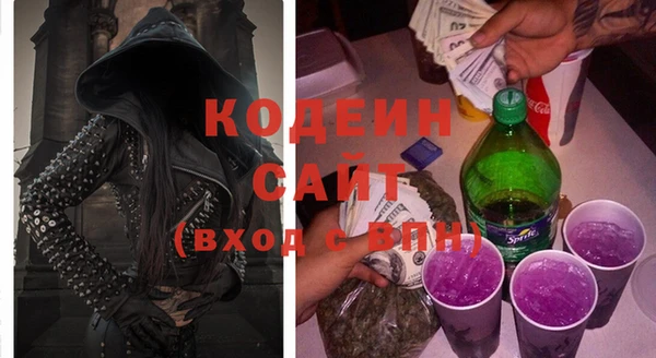 дурь Алексин