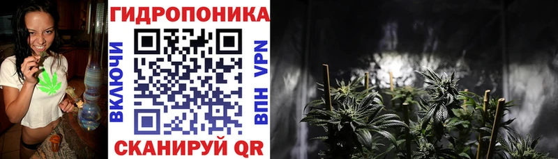 Бошки марихуана индика  наркотики  Феодосия 